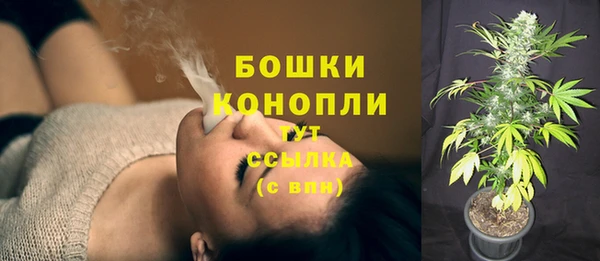 крисы Волоколамск