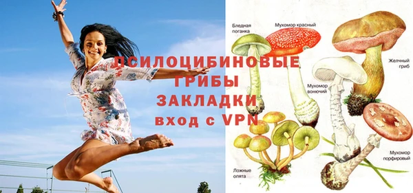 крисы Волоколамск