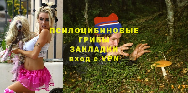 крисы Волоколамск