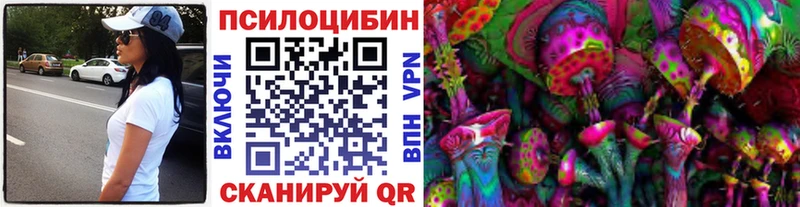 Купить  Нижняя Салда  Галлюциногенные грибы Cubensis 